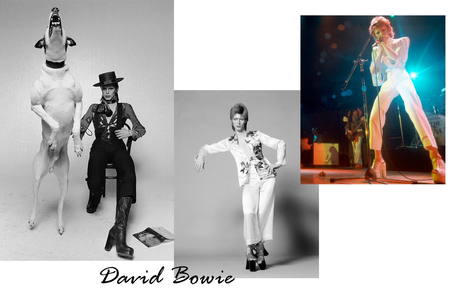 davidbowie
