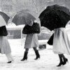 On the Street: Five Decades of Iconic Photography
